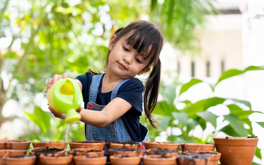 preschool gardening