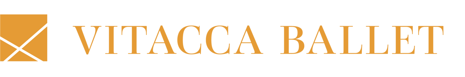 vitacca logo