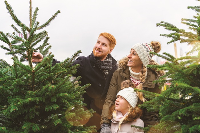 17710 Live Christmas