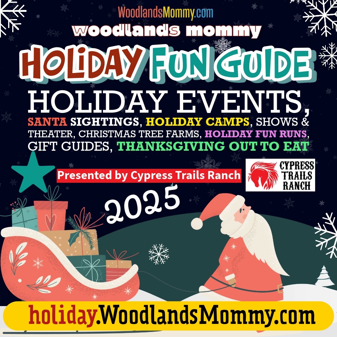 2025 holiday fun guide image