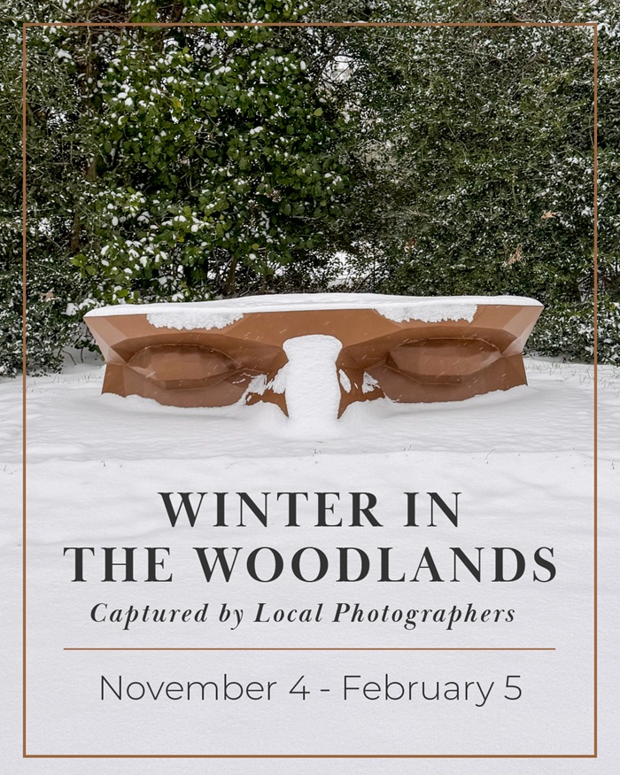 Winter in the Woods flyer