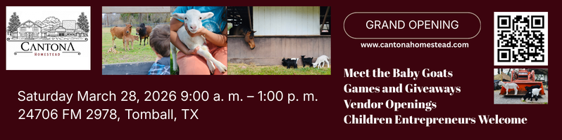 Cantona Homestead Beginnngs