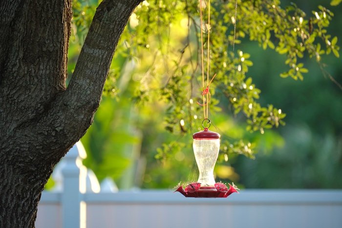 birdfeeder woodlandsmommy