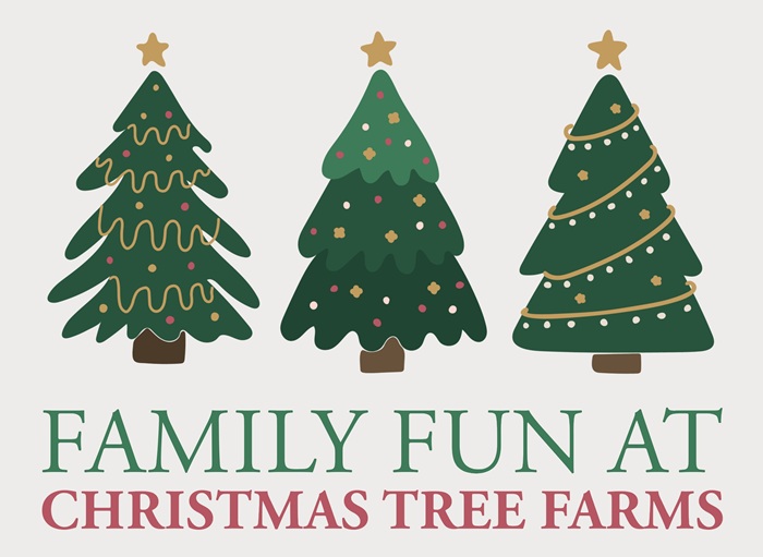 christmas tree farms familyfun