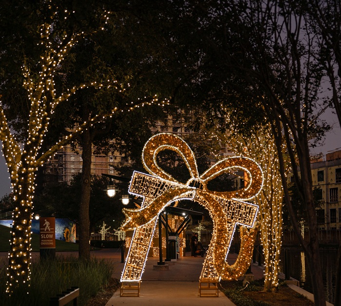 holiday lights 5