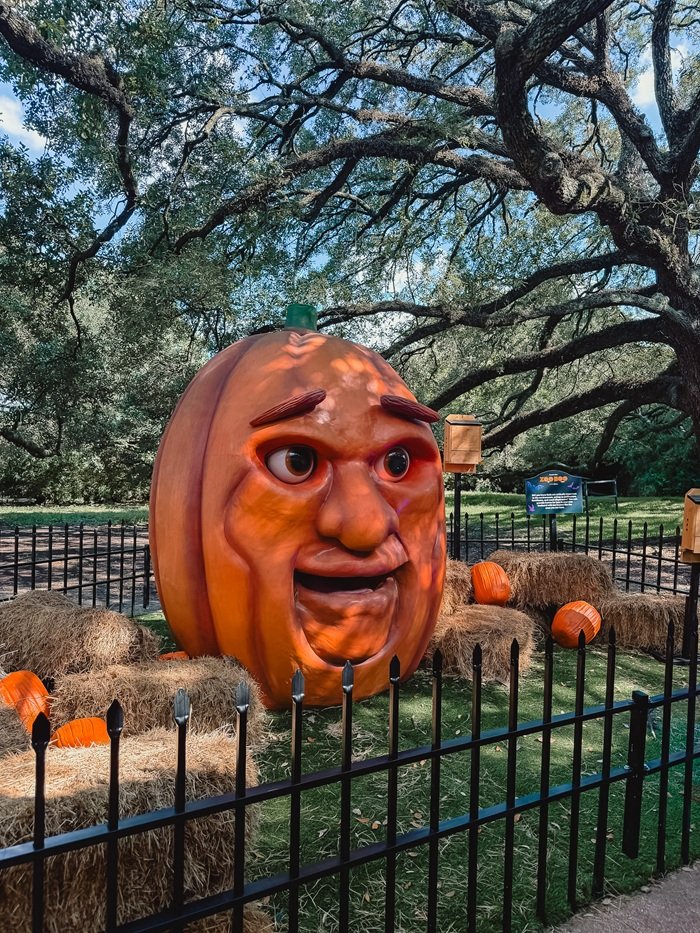 houstonzoo woodlandsmommy2