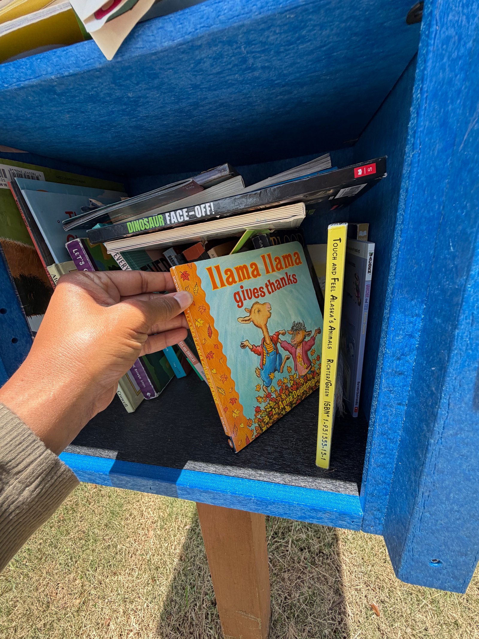 littlefreelibrary woodlandsmommy2
