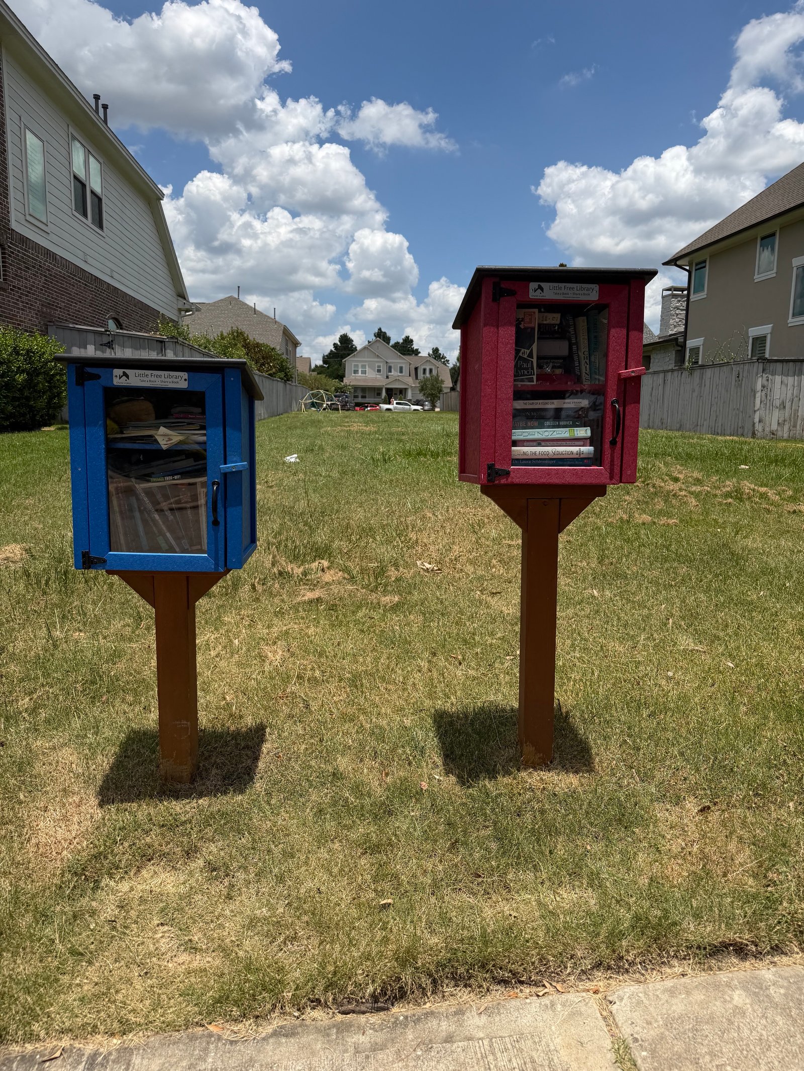 littlefreelibrary woodlandsmommy3