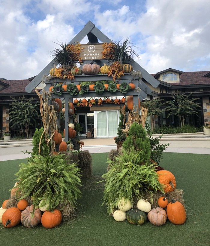 market street pumpkinphotoopp