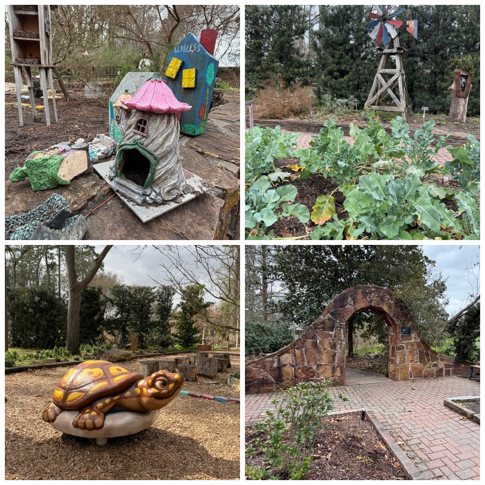 mercer31 woodlandsmommy