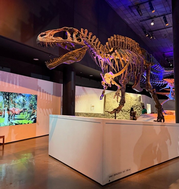 museumsonus
