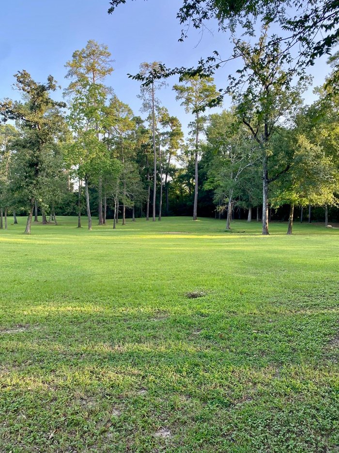 Open field at Pondera Park