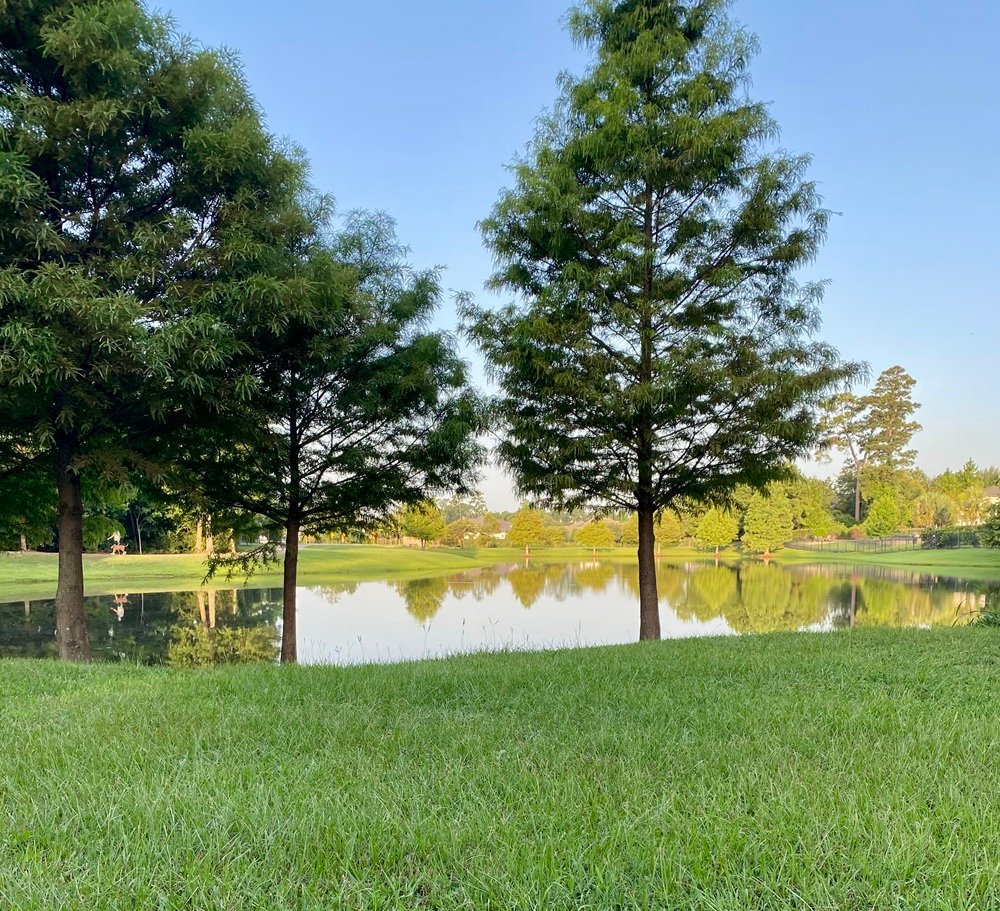 Pond at Pondera Park