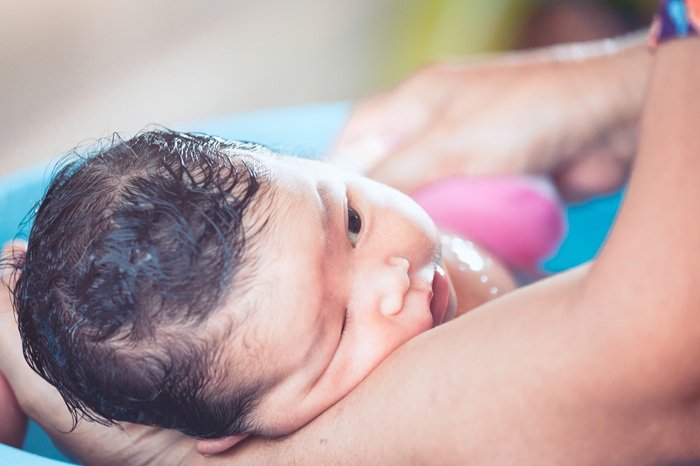 sipandsee newborn