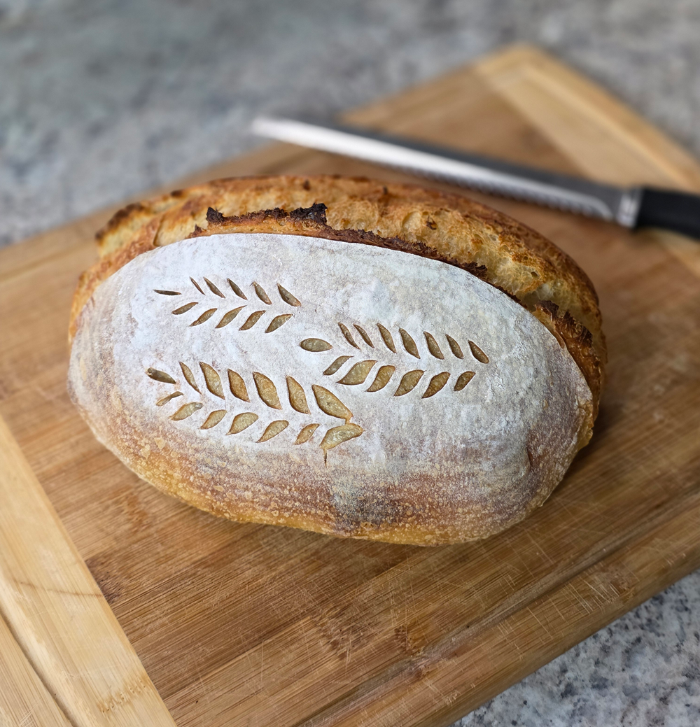sourdough woodlandsmommy10