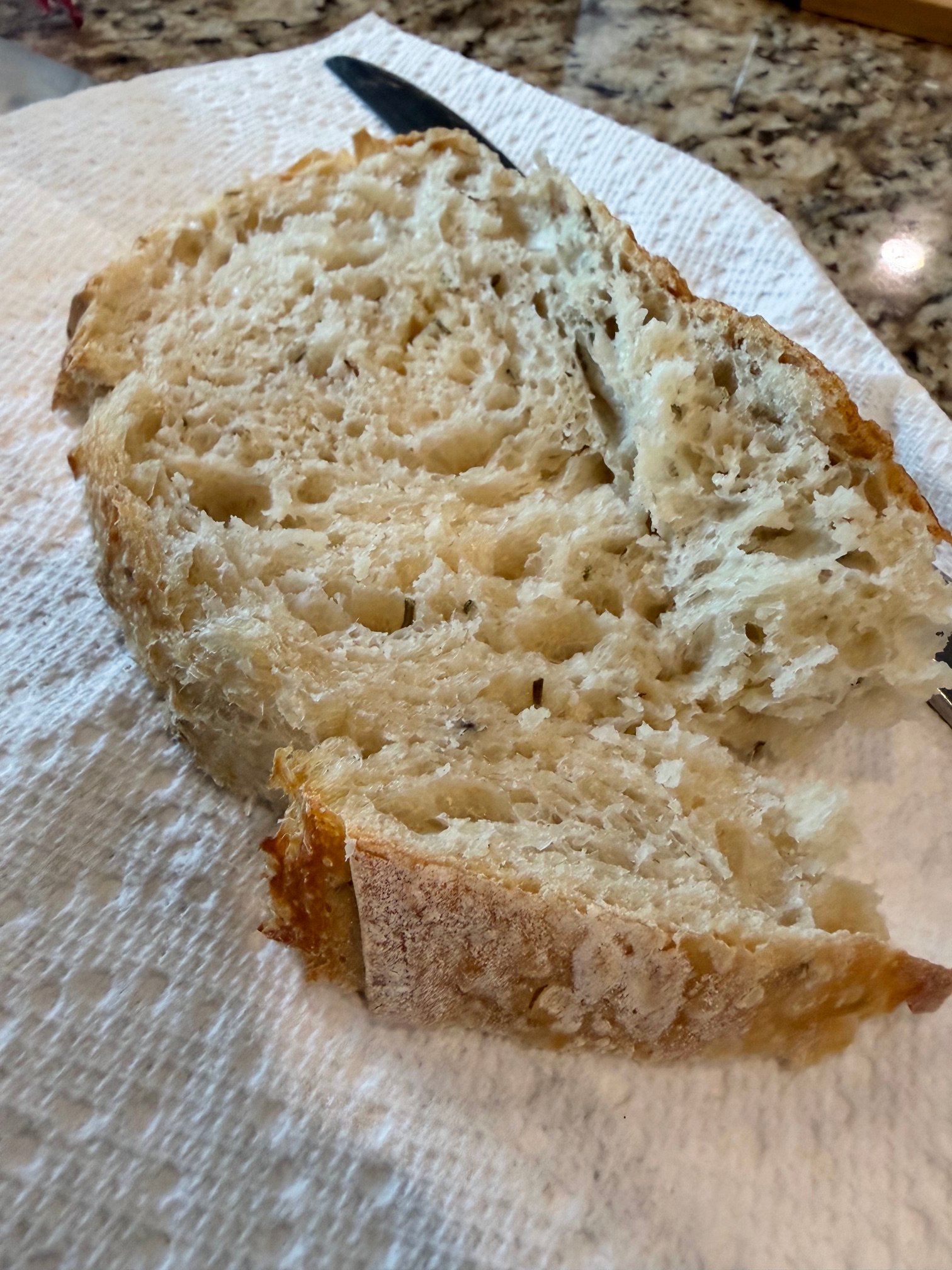 sourdough woodlandsmommy8