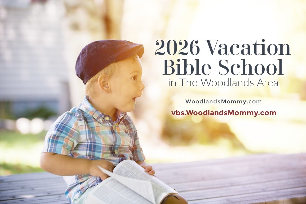 vbs 2026