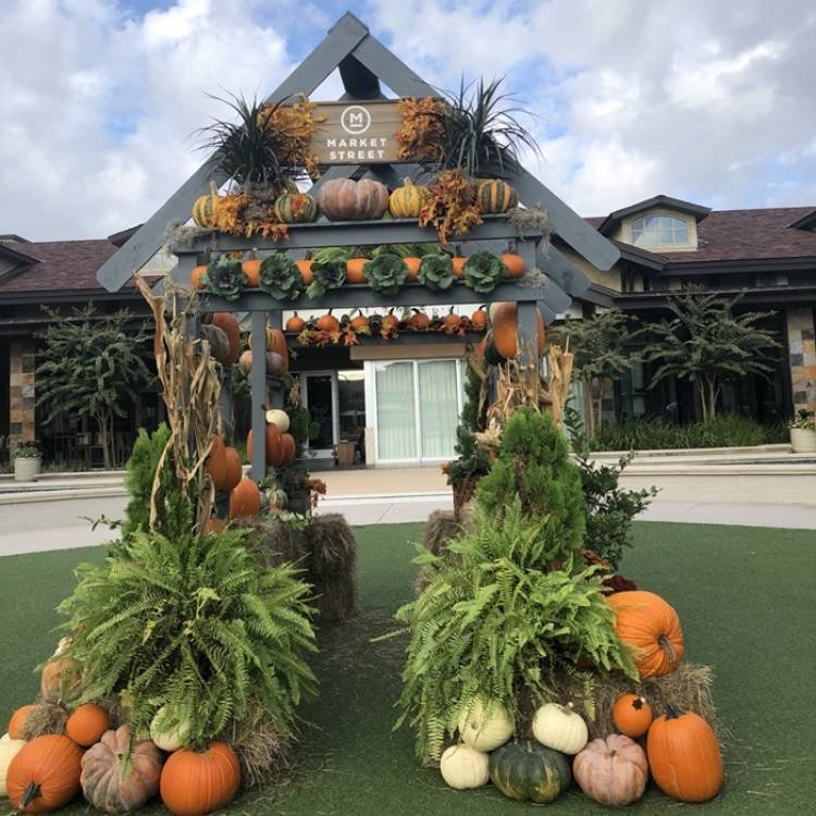 Fall Photo Backdrop Returns to Market Street October 26 – November 1