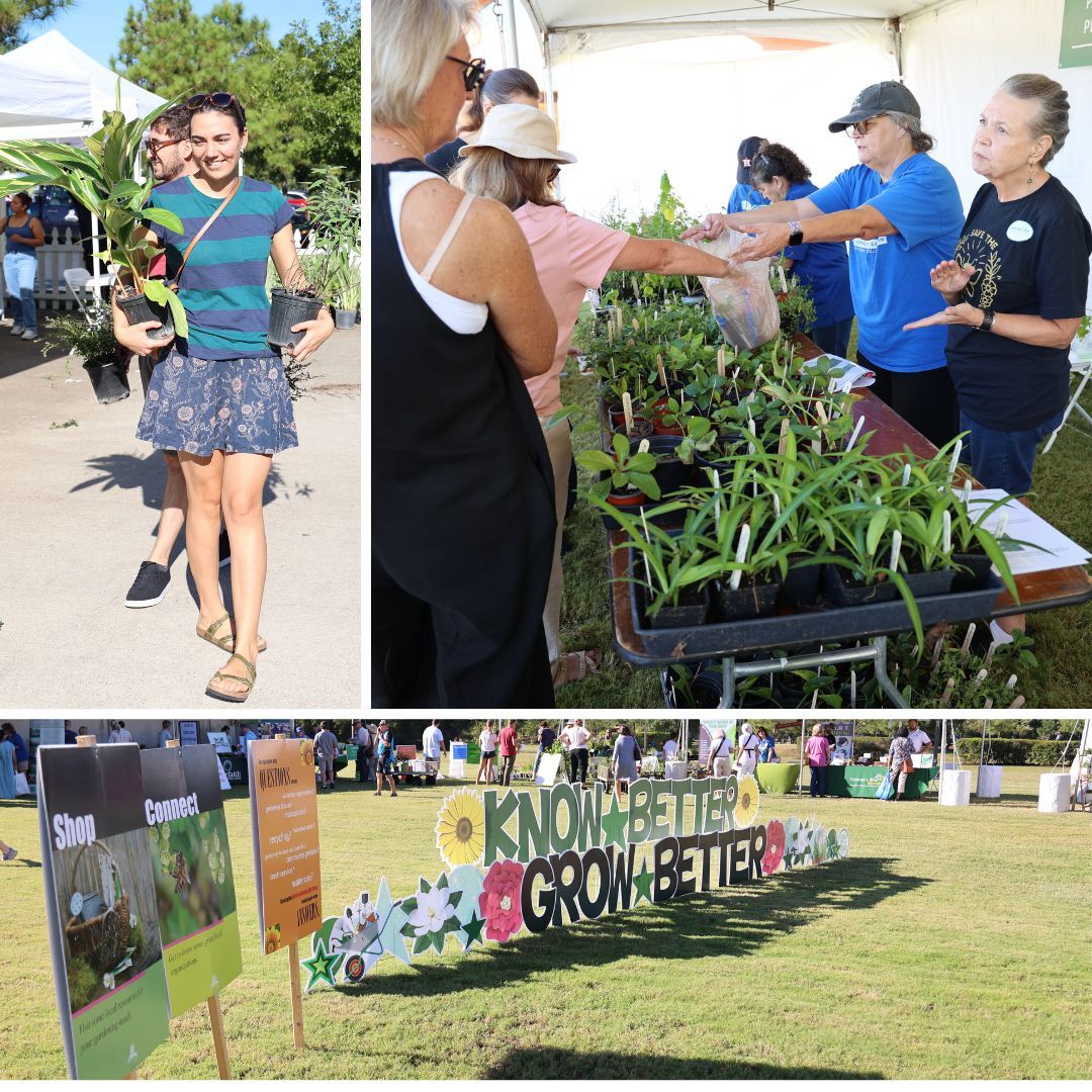 woodlands landscaping solutions original