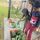 Celebrate Earth Day in The Woodlands: Fun Ideas for Families